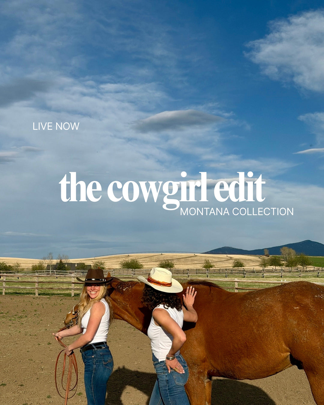 The Montana Collection: Spring 26
